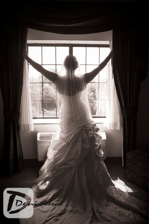 fdnybride163