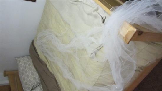 Irishbride17