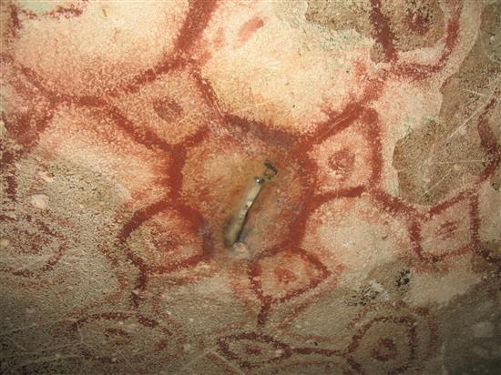 hmpena