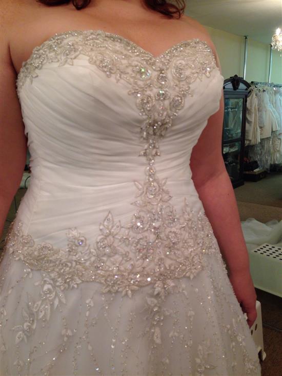 Alimm729