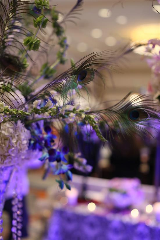 Long Island Bridal Extravaganza September 2014