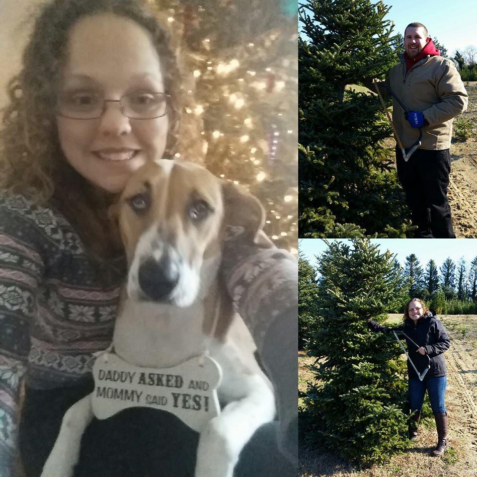 mstrohson