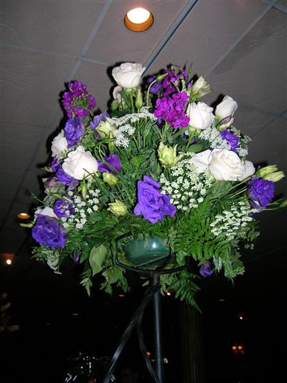 jandt2006