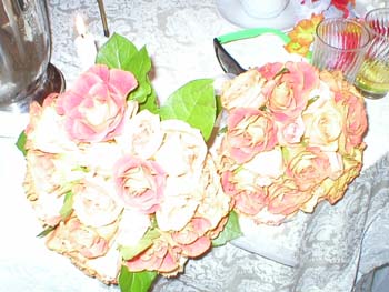 lisau18