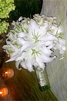 PKG06