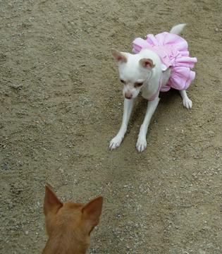 lolita4life