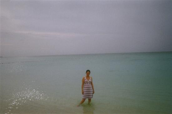 shellnroc