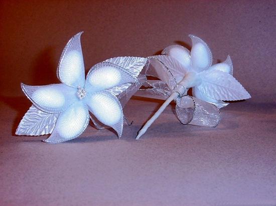shellnroc