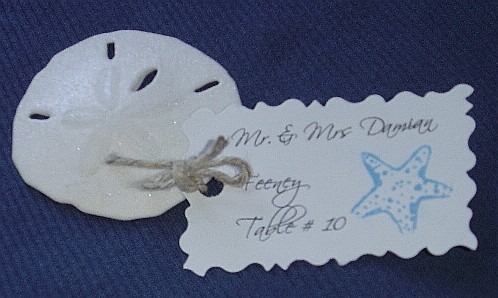 Nautical bride