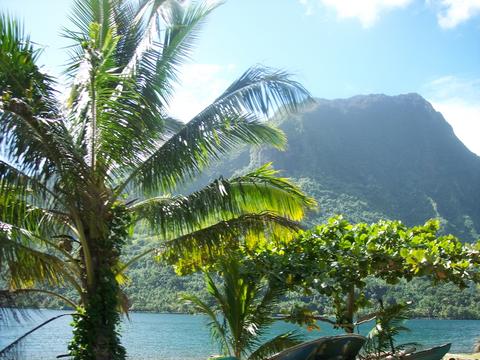 Client Services