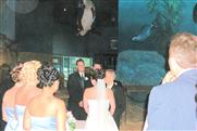 no stress bride