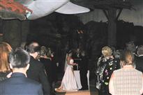 no stress bride
