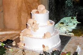 no stress bride