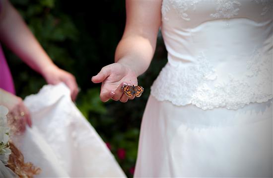 BJandDan
