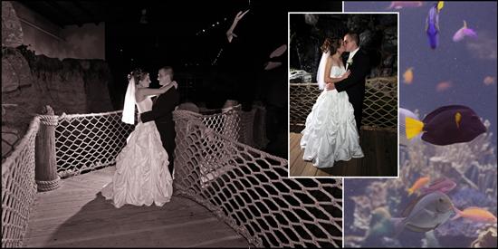 lacey&mark