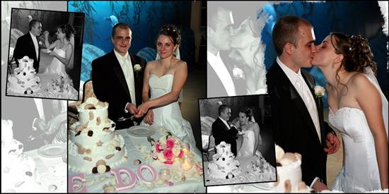 lacey&mark