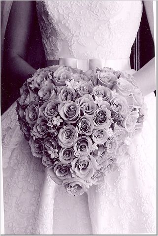 1908love1911