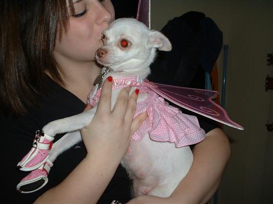 lolita4life