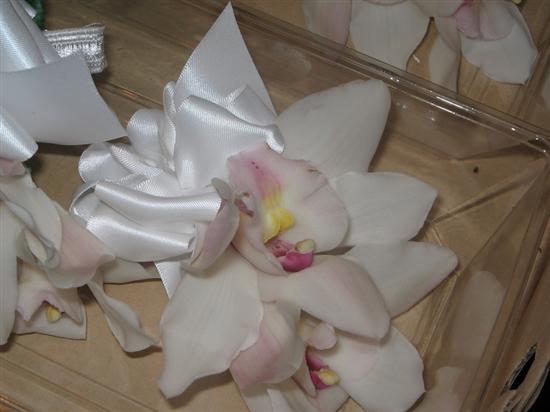 Hamptonsbride06