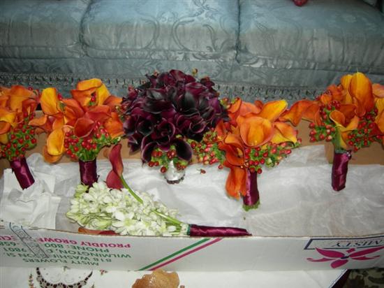 felicita