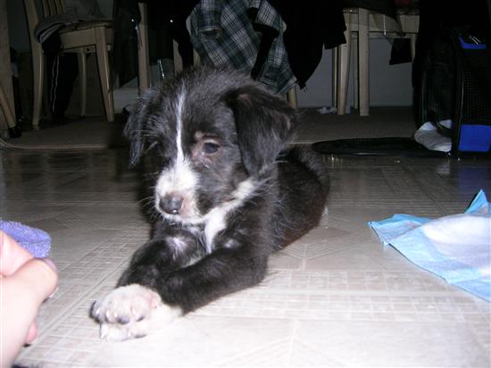 MrsQ-in2007