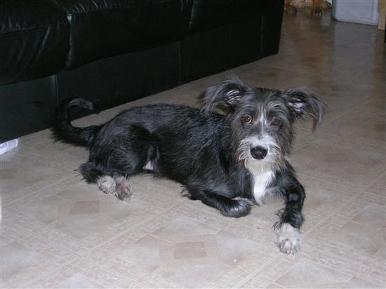 MrsQ-in2007