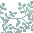 myslideshow