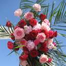 Verbena Designs Inc.