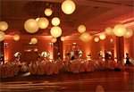Luminous Designs