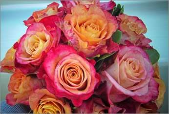 Roots, Flowers and Treasures