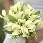 Flower You