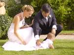 MVS Films