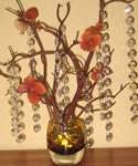 madam MANZANITA