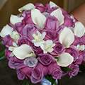 Elegant Designs by Joy