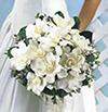 Flowers by Emil