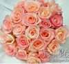 Fresh Petal