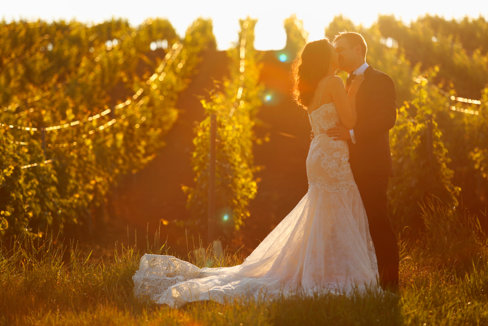 Long Island Wine Country: A Look into Long Island Wine Culture