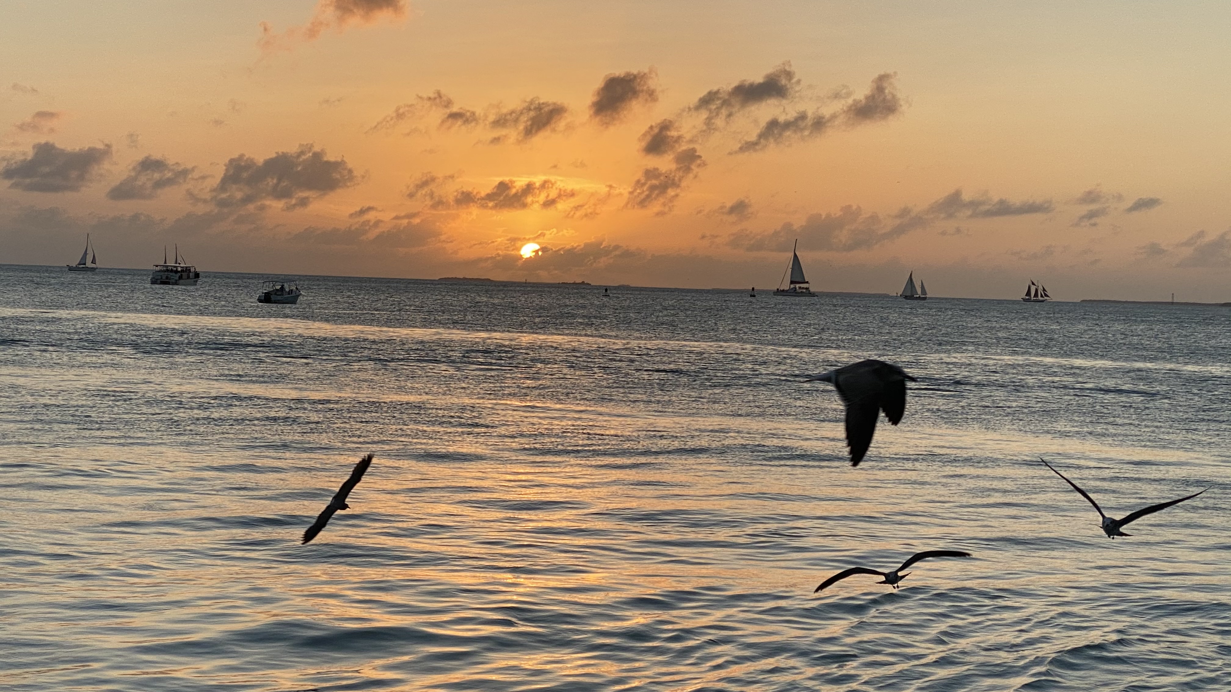 Domestic Honeymoons - Key West Style*
